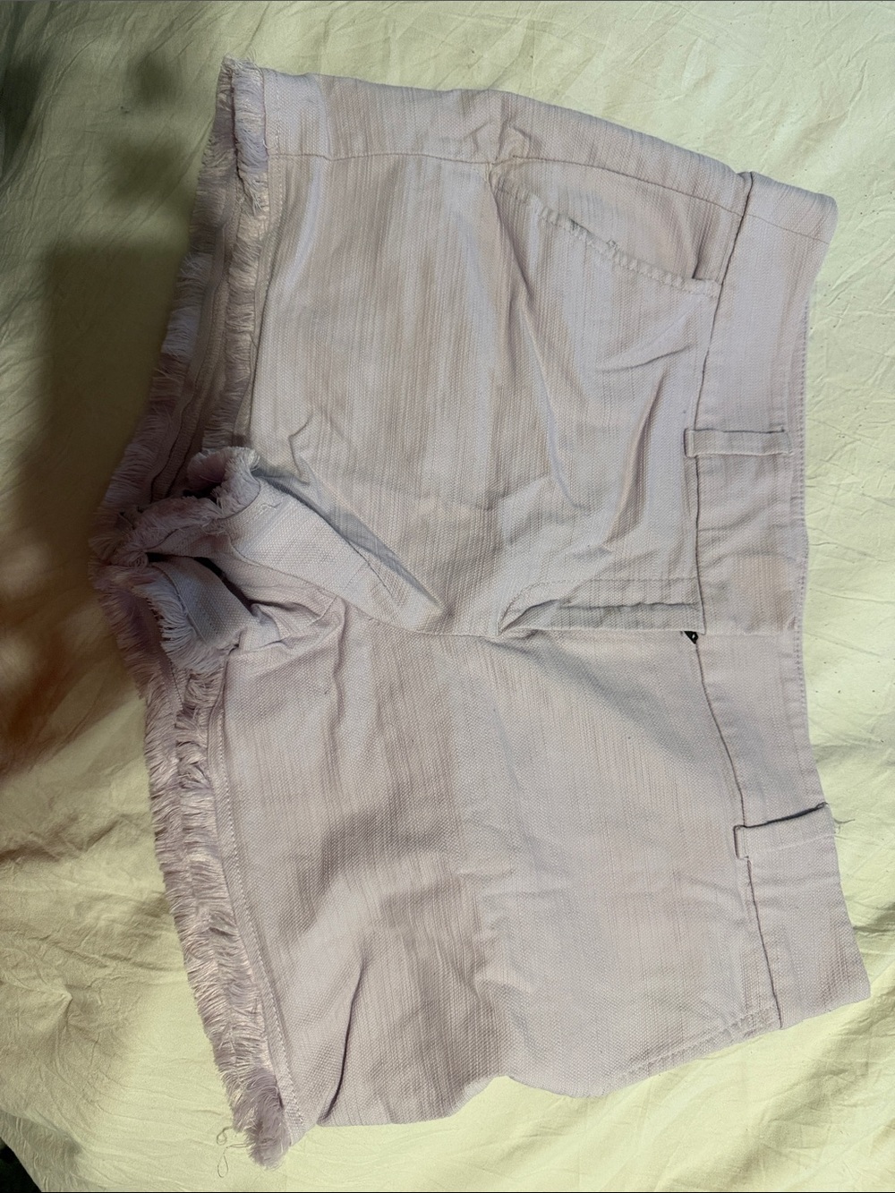 LOFT light lavender frayed hem women's shorts